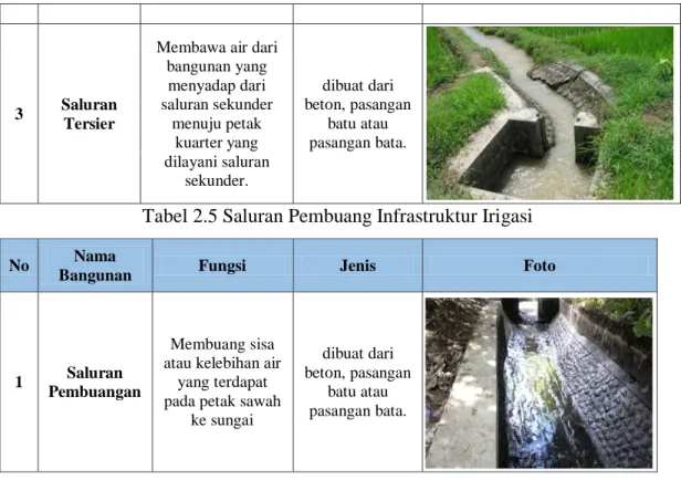 Tabel 2.5 Saluran Pembuang Infrastruktur Irigasi 