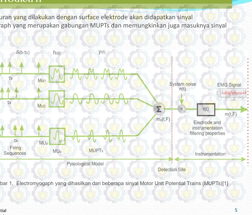 Gambar 1.  Electromyogaph yang dihasilkan dari beberapa sinyal Motor Unit Potential Trains (MUPTs)[1]