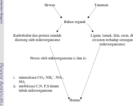 Gambar 1. Dekomposisi bahan organik (Rao 1977) 