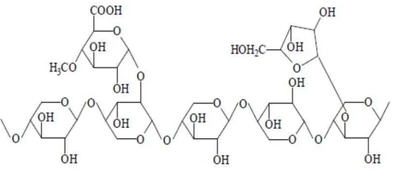 Gambar 1 : Struktur hipotetikal xilan dari tumbuhan (Beg et al., 2001)