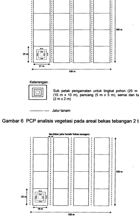 Gambar 7  PCP analisis vegetasi pada areal bekas tebangan 3 tahun 