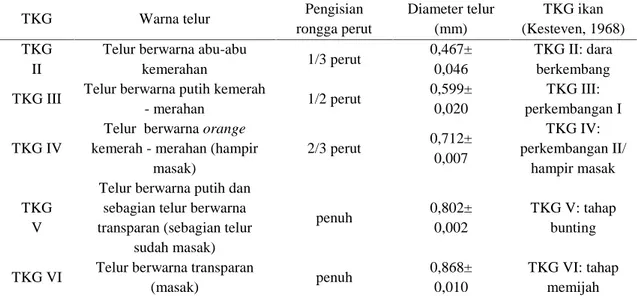 Tabel  2.  Hasil Tingkat  Kematangan  Gonad  Ikan  Betok  berdasarkan  Pengukuran Diameter Telur, Pengamatan Warna Telur dan Pengisian Rongga Perut.
