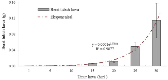 Gambar 5. Pola pertumbuhan berat tubuh larva ikan kerapu bebek F-3. 