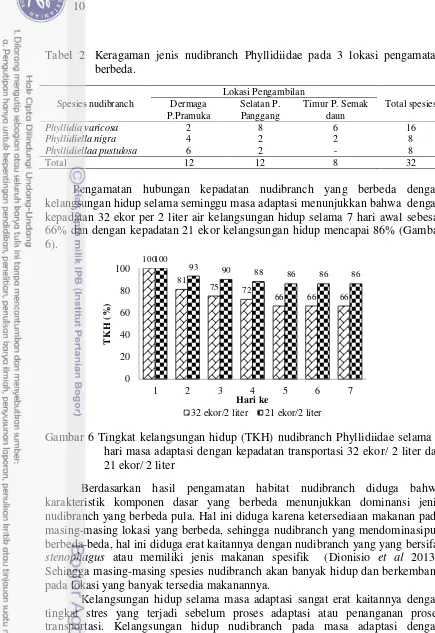 Tabel  2 Keragaman jenis nudibranch Phyllidiidae pada 3 lokasi pengamatan berbeda. 