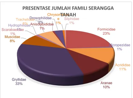 Gambar 1. Diagram pie presentase jumlah family serangga tanah di perkebunan  Patallassang 