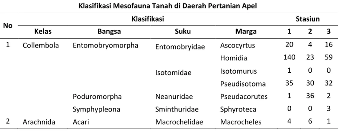 Tabel 1. Klasifikasi Mesofauna tanah di daerah Pertanian apel 