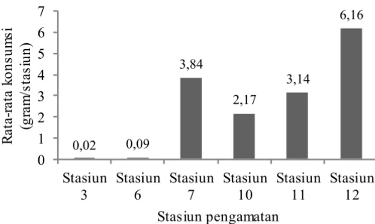 Gambar 4. Jumlah rata-rata konsumsi kayu monitor per individu dalam koloni rayap Macrotermes gilvus di 