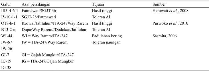 Tabel 3 menunjukkan galur III3-4-6-1 memiliki malai  terpanjang  (28.82  cm),  dan  galur    O18-b-1  (22.53  cm)  adalah  malai  terpendek