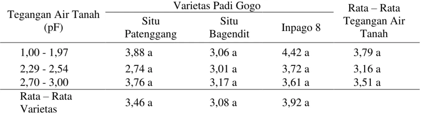 Tabel  8.    Rata-rata  rasio  tajuk  dan  akar  (g)  beberapa  varietas  padi  gogo  dengan  perlakuan  tegangan air tanah 