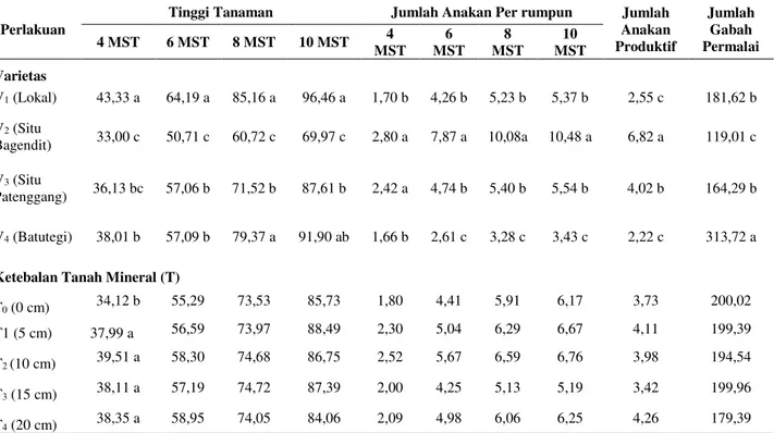 Tabel  Rata-Rata  Tinggi  Tanaman,  Jumlah  Anakan  Per  rumpun,  Jumlah  Anakan  Produktif  dan  Jumlah  Gabah  per  Malai  Berbagai  Varietas  Padi  Gogo  Pada  Ketebalan  Tanah  Mieral  Pada  Lahan  