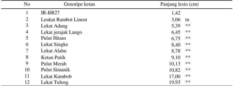 Tabel 6.  Rata-rata panjang lesio pada beberapa genotipe dibandingkan dengan genotipe IR-BB27 pada genotipe padi lokal Aceh tipe ketan