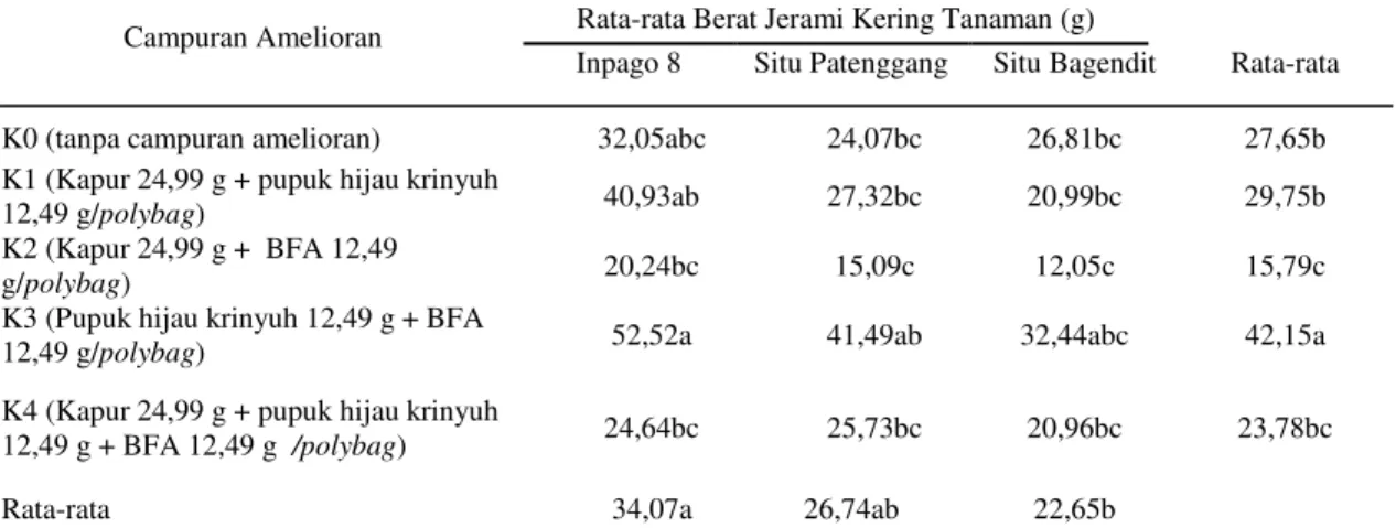 Tabel  11.  Berat  jerami  kering  tanaman  (g)  beberapa  varietas  padi  gogo  akibat  pemberian  campuran  amelioran 