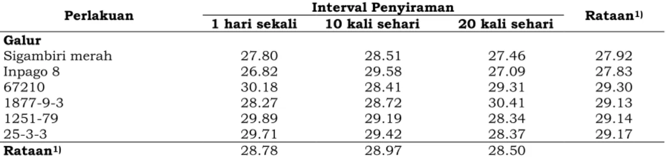 Tabel 5. Bobot 1000 butir gabah kering giling (g) beberapa galur padi gogo yang dipengaruhi oleh  interval penyiraman 