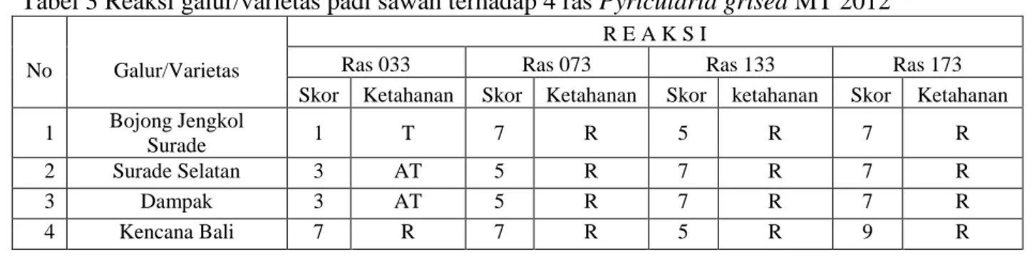 Gambar 1.  Pengujian dengan beberapa ras blas pada galur/varietas yang diuji   a.Gejala blas pada kontrol  peka (cv