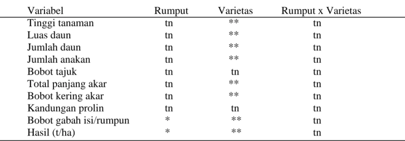 Tabel 1. Analisis Ragam Pertumbuhan dan Hasil Padi Gogo Pada Pertanaman Intercrops  Dengan Rumput