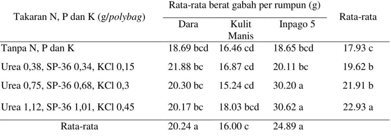 Tabel  10  menunjukkan  varietas  Dara  dan  Kulit  Manis  memberikan  hasil berat gabah per rumpunyang tidak  berbeda  nyata