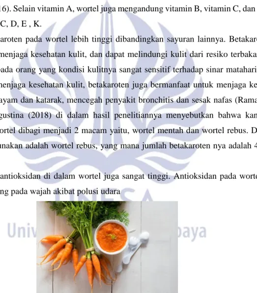 Gambar 1. Masker Wortel 