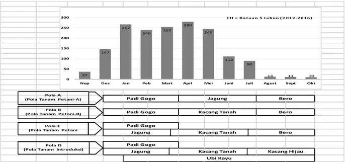 Gambar 1. Rancangan penelitian pola tanam berbasis padi gogo menurut distribusi curah hujan di Kecamatan Saumlaki,  Kabupaten Maluku Tenggara Barat, MT 2017 