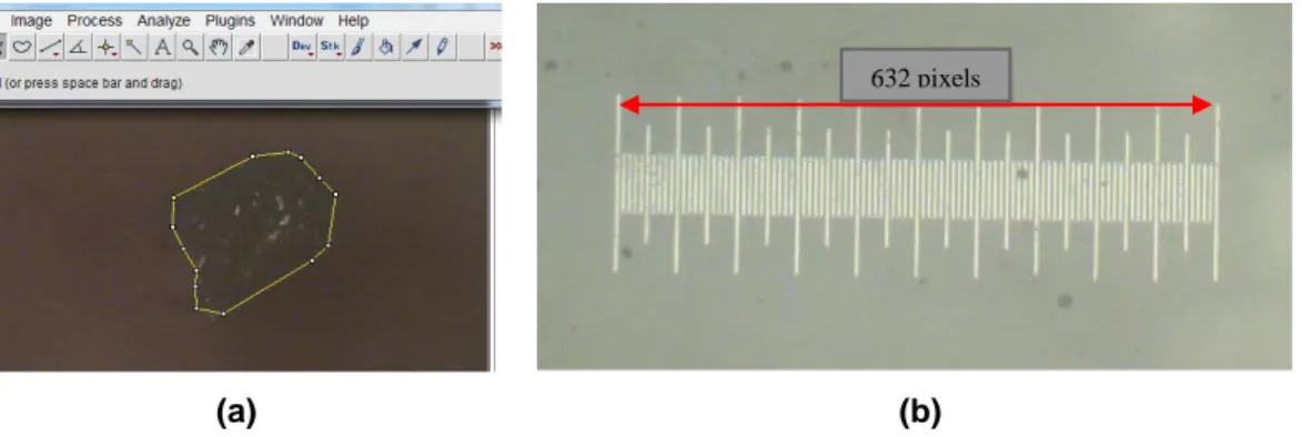 Gambar 2.5 Pengukuran luas penampang serat: (a) Fotomikro penampang serat sampel, (b) mistar  kalibrator 