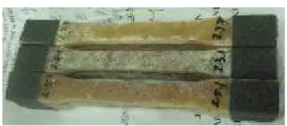 Gambar 2. Spesimen uji tarik komposit widuri poliester (foto diambil pada tanggal 14 desember