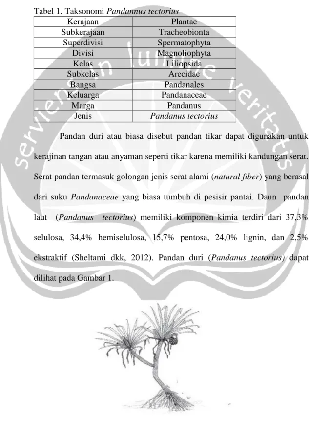 Tabel 1. Taksonomi Pandannus tectorius 