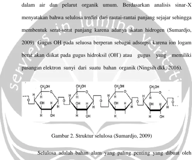 Gambar 2. Struktur selulosa (Sumardjo, 2009) 