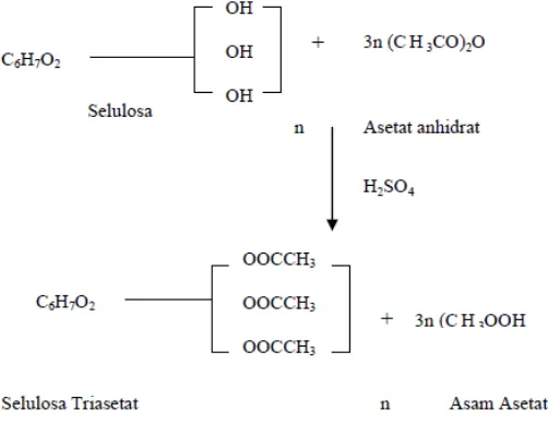 Gambar 3.  Reaksi pembentukan selulosa asetat (Carolina, 2010) 