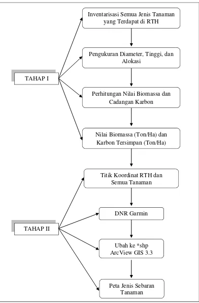 Gambar 3. Bagan Alur Penelitian Pendugaan Cadangan Karbon di RTH Kota Medan. 