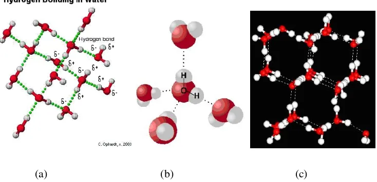 Gambar 4. Ikatan hidrogen pada moleku air (a), es (b), bentuk tiga dimensi (c) 