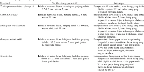Tabel 2. Deskripsi parasitoid yang berasosiasi dengan P. xylostella di Sumatera Selatan