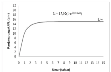 Gambar 4. Kurva pertumbuhan von Bertalanffy ikan kuniran. Figure 4. The growth rate curve von Bertalanffy of Silver goatfish.