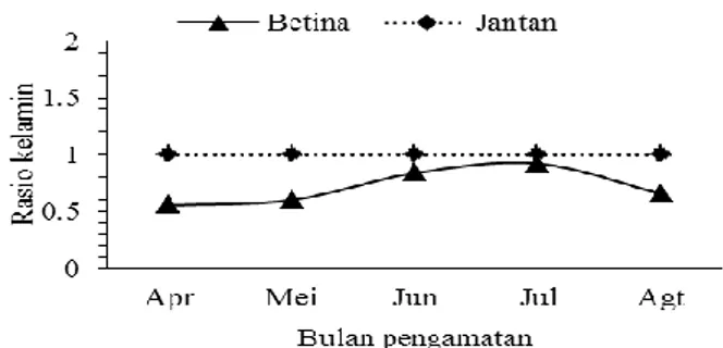 Tabel 1. Klasifikasi tingkat kematangan gonad (Effendi, 2002). 