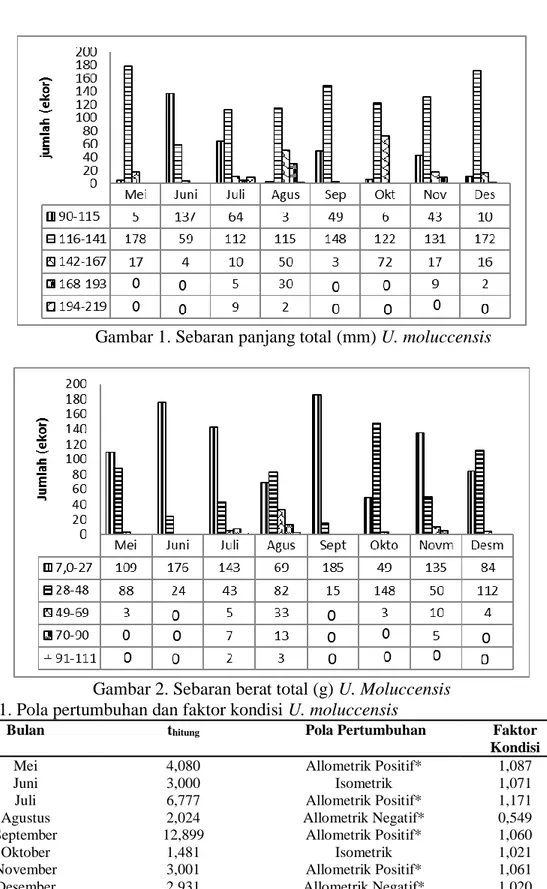 Gambar 2. Sebaran berat total (g) U. Moluccensis  Tabel 1. Pola pertumbuhan dan faktor kondisi U