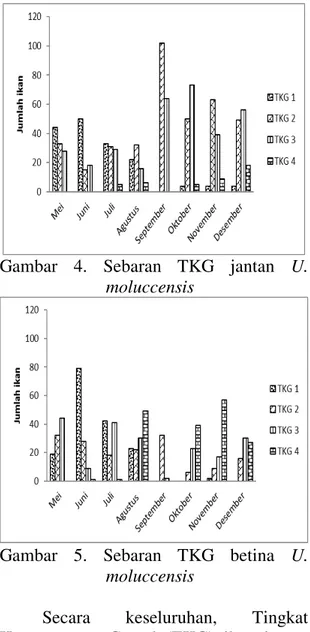 Gambar  4.  Sebaran  TKG  jantan  U. 