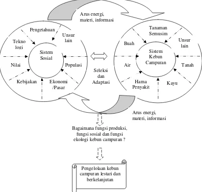 Gambar 1.  Dinamika kebun campuran sebagai hubungan timbal balik            sistem sosial dan sistem kebun campuran (Modifikasi Rambo 1981) 