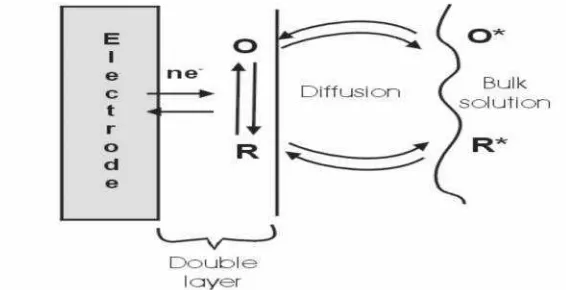 Gambar 4. Transfer elektron pada permukaan elektroda (Dilmore, 2004)