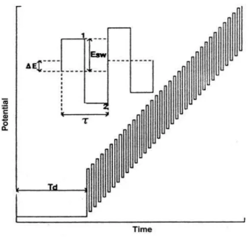Gambar 5.  Pemberian pulsa pada voltammetri square wave; 1: pulsa maju, 2:pulsa balik, ∆E: tinggi kenaikan pulsa, Esw: amplitudo, τ: periode, Td:waktu tunda (Wang, 2000).