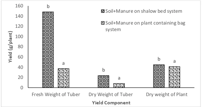 Figure 4.  Yield Component of Sweet Potato in order to Increase Yield of Sweet Potato (Ipomoea batatas L.) through Different Types of Planting Medium on Roof Garden by the Application of Shallow Bed System and Container Bag Planting System