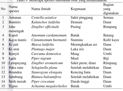 Tabel 9  Beberapa spesies tumbuhan obat yang dimanfaatkan 