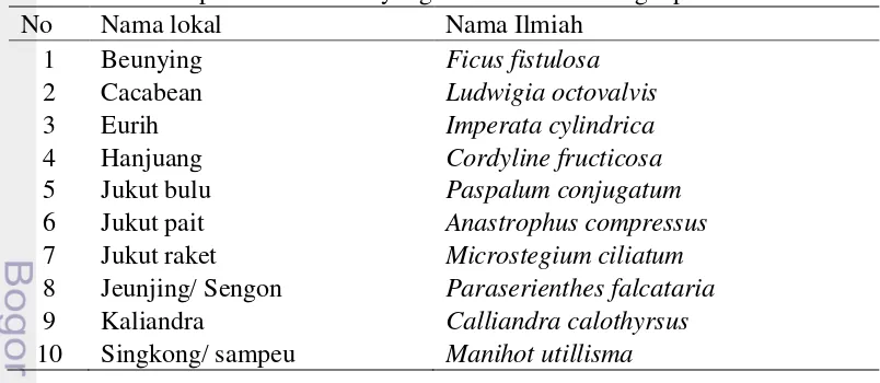 Tabel 13  Spesies tumbuhan yang dimanfaatkan sebagai bahan aromatik 