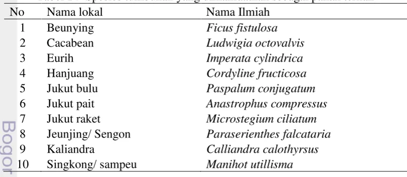 Tabel 13  Spesies tumbuhan yang dimanfaatkan sebagai bahan aromatik 