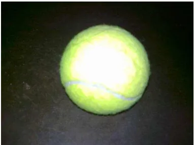 Gambar 3.7 Bola tenis untuk pemanasan permainan 