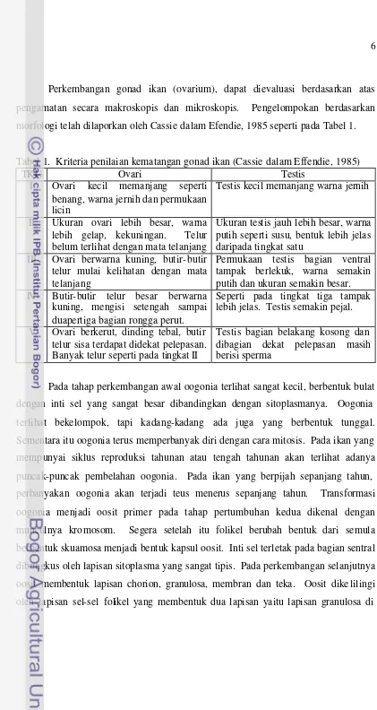 Tabel 1.  Kriteria penilaian kematangan gonad ikan (Cassie dalam Effendie, 1985) 