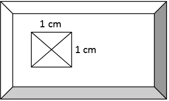 Gambar 4. Luas area perhitungan bakteri dalam objek glass 