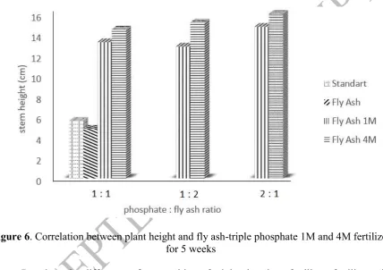 Figure 6. Correlation between plant height and fly ash-triple phosphate 1M and 4M fertilizer 