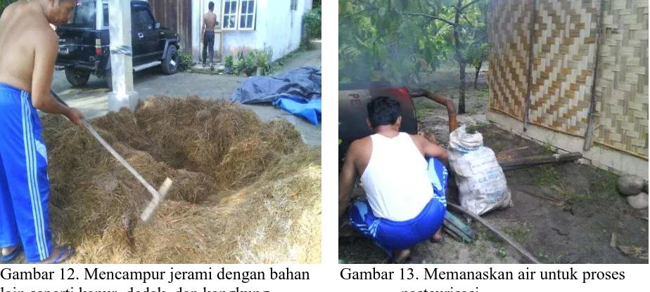 Gambar 10. Tim pengabdian foto bersama peserta   Gambar 11. Mencacah kangkung untuk bahan  di depan Kumbung (rumah jamur) yang sudah   tambahan media jamur merang  siap dibangun dengan dana IbM   