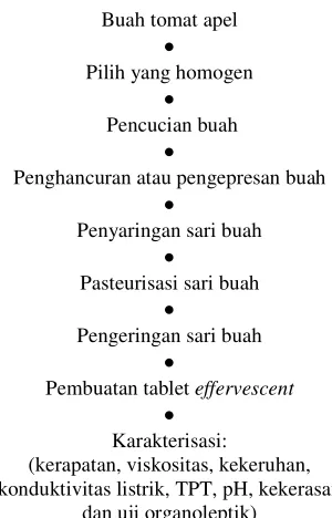 Gambar 2  Diagram Alir Pembuatan Tablet 
