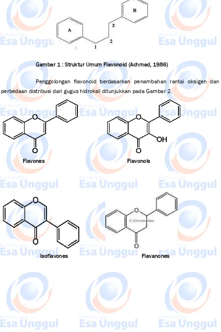 Gambar 1 : Struktur Umum Flavonoid (Achmad, 1986) 