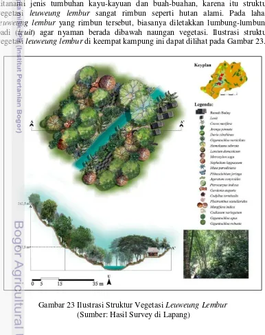 Gambar 23 Ilustrasi Struktur Vegetasi Leuweung Lembur  