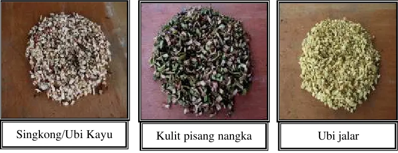 Gambar 6  Bahan pakan tambahan sebelum dicacah 